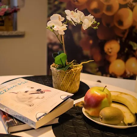 Czerwona Jarzebina Centrum شقة