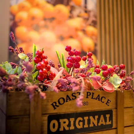 Czerwona Jarzebina Centrum Daire *