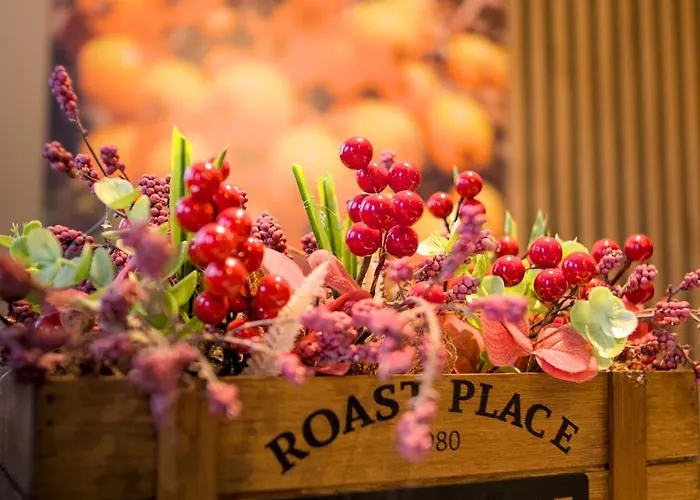 Czerwona Jarzebina Centrum Daire *